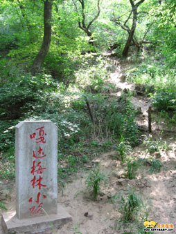 嘎达梅林